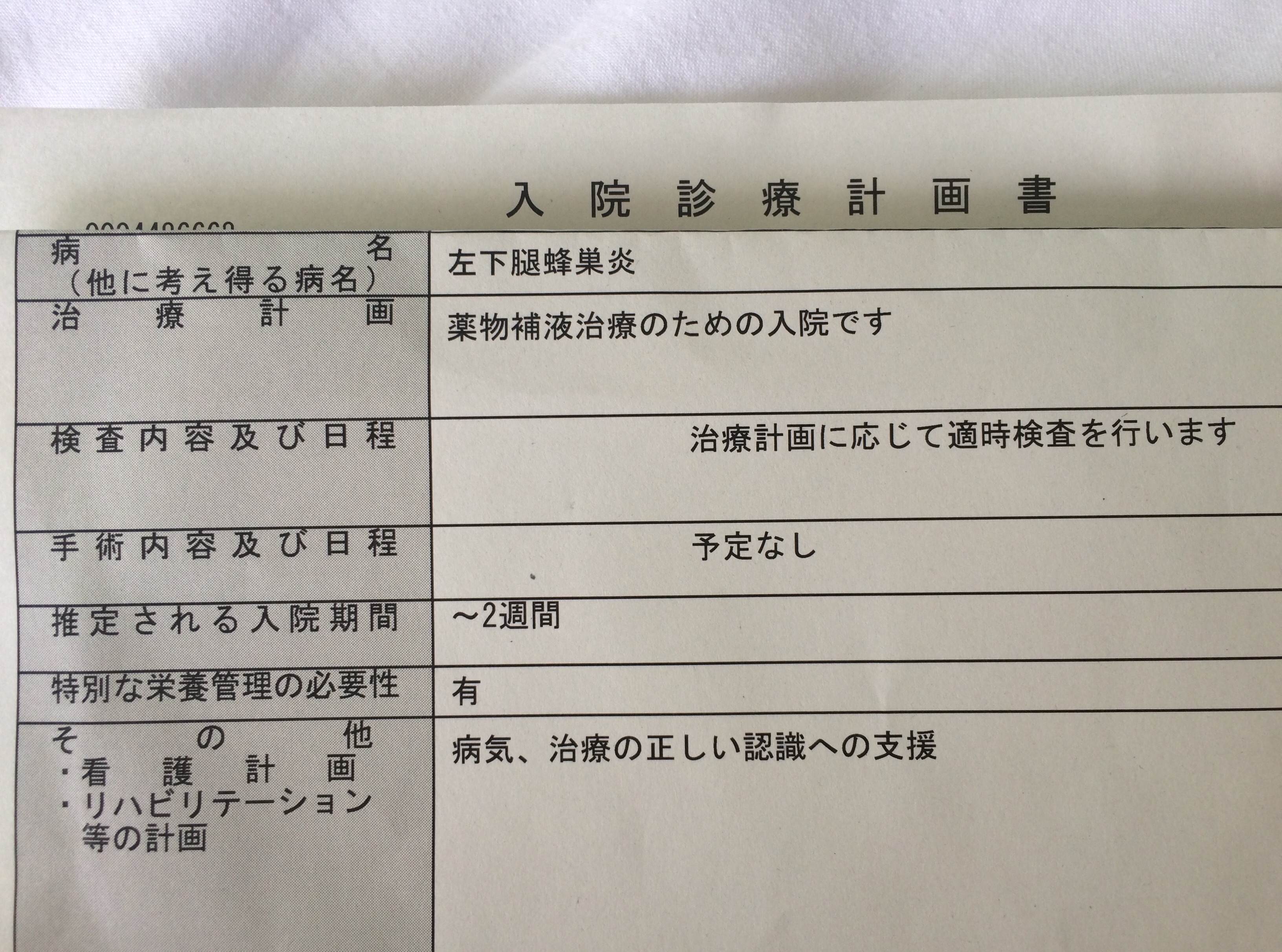 僕は今 蜂窩織炎 ほうかしきえん だとか蜂巣炎 ほうそうえん って病気で入院してます レゴの時間 子供のプログラミング教育は将来を変える